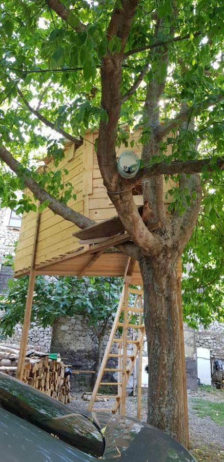 Balani Restorant Fronte Pensjonat Szkodra